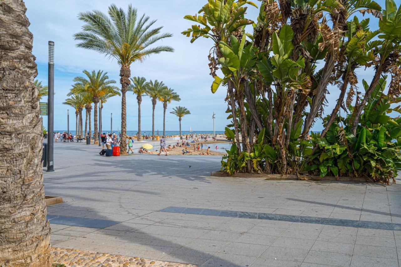 Casa Terra: Apartment 50 Meters From The Beach Torrevieja Exterior photo